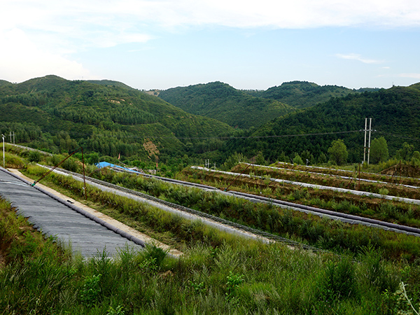 蘆薈基地